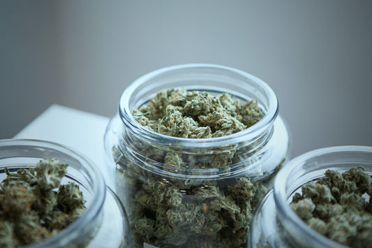 What In The World Is A Terpene?